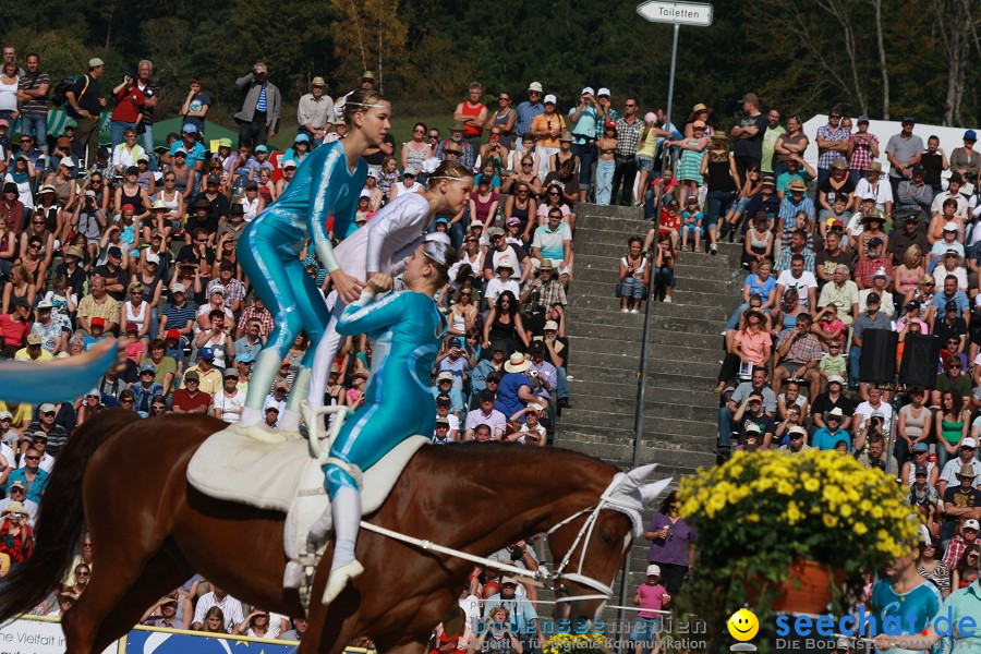 Hengstparade-Marbach-2011-011011-Bodensee-Community-SEECHAT_DE-IMG_1042.JPG