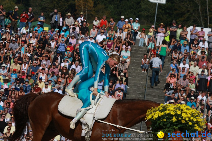 Hengstparade-Marbach-2011-011011-Bodensee-Community-SEECHAT_DE-IMG_1050.JPG