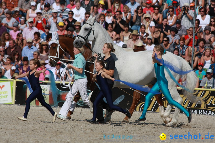 Hengstparade-Marbach-2011-011011-Bodensee-Community-SEECHAT_DE-IMG_1083.JPG