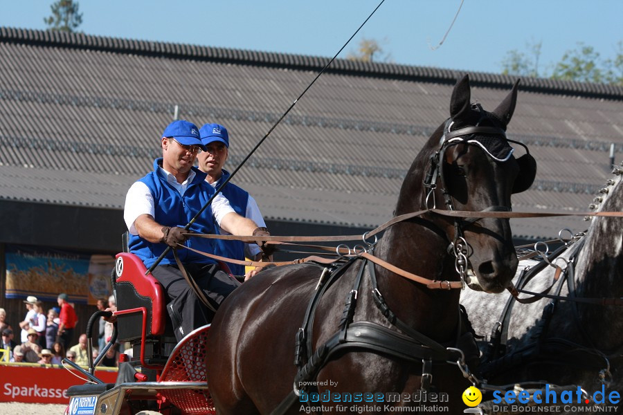 Hengstparade-Marbach-2011-011011-Bodensee-Community-SEECHAT_DE-IMG_1084.JPG