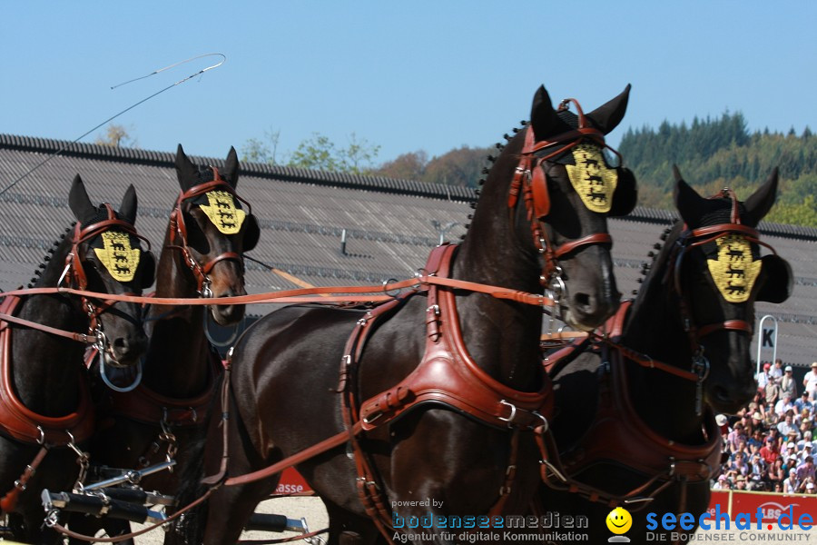 Hengstparade-Marbach-2011-011011-Bodensee-Community-SEECHAT_DE-IMG_1087.JPG