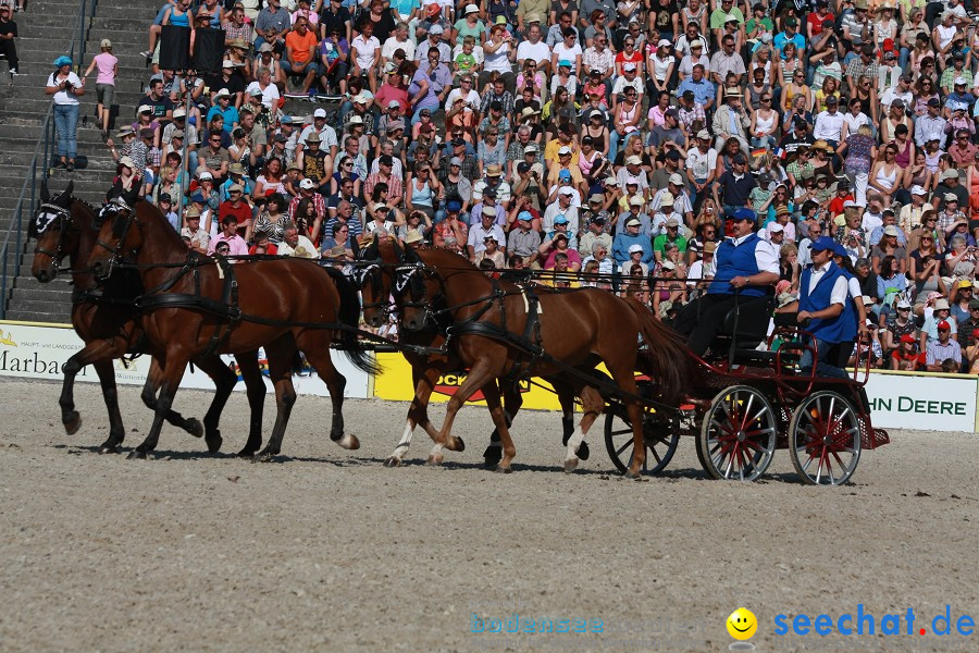 Hengstparade-Marbach-2011-011011-Bodensee-Community-SEECHAT_DE-IMG_1102.JPG