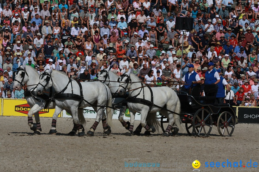 Hengstparade-Marbach-2011-011011-Bodensee-Community-SEECHAT_DE-IMG_1104.JPG