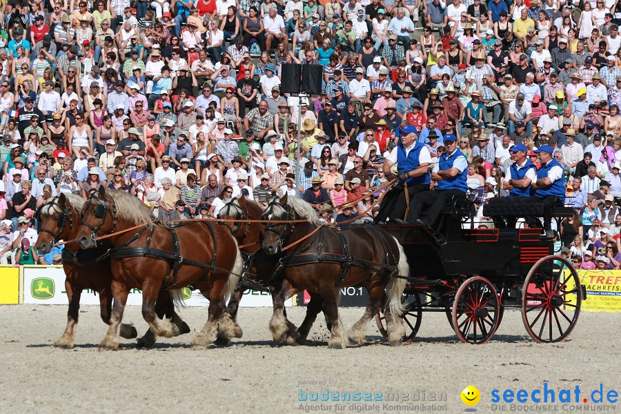 Hengstparade-Marbach-2011-011011-Bodensee-Community-SEECHAT_DE-IMG_1107.JPG