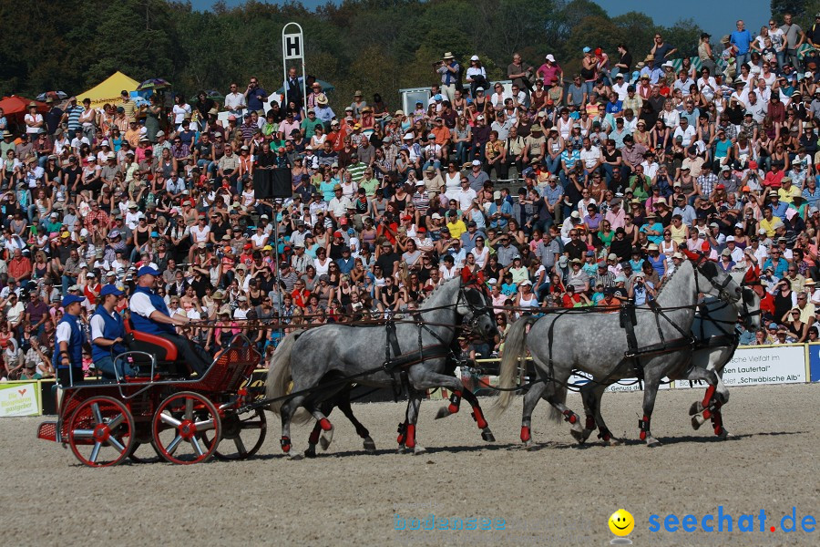 Hengstparade-Marbach-2011-011011-Bodensee-Community-SEECHAT_DE-IMG_1109.JPG