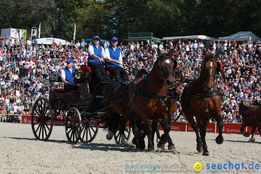 Hengstparade-Marbach-2011-011011-Bodensee-Community-SEECHAT_DE-IMG_1132.JPG