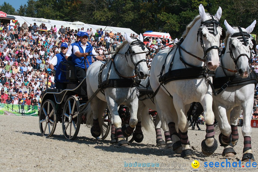 Hengstparade-Marbach-2011-011011-Bodensee-Community-SEECHAT_DE-IMG_1134.JPG