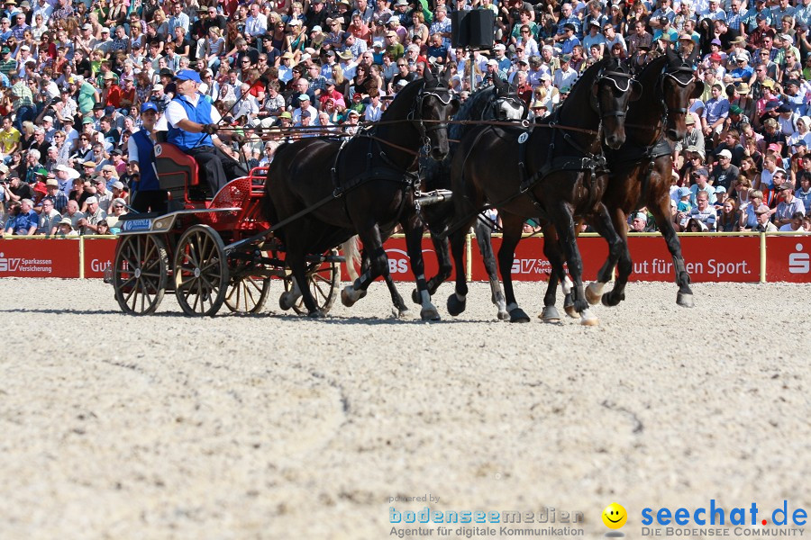 Hengstparade-Marbach-2011-011011-Bodensee-Community-SEECHAT_DE-IMG_1137.JPG