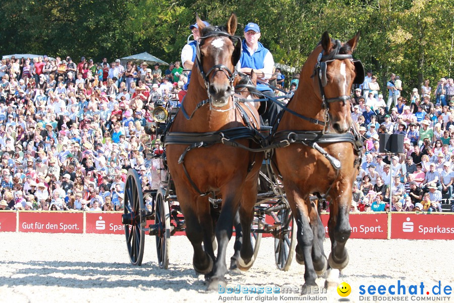 Hengstparade-Marbach-2011-011011-Bodensee-Community-SEECHAT_DE-IMG_1142.JPG