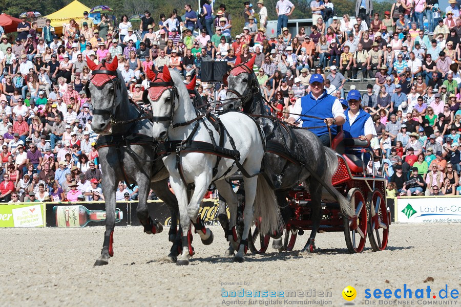 Hengstparade-Marbach-2011-011011-Bodensee-Community-SEECHAT_DE-IMG_1145.JPG