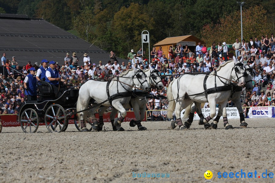 Hengstparade-Marbach-2011-011011-Bodensee-Community-SEECHAT_DE-IMG_1146.JPG