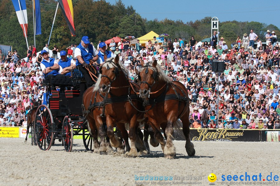 Hengstparade-Marbach-2011-011011-Bodensee-Community-SEECHAT_DE-IMG_1149.JPG