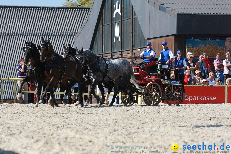 Hengstparade-Marbach-2011-011011-Bodensee-Community-SEECHAT_DE-IMG_1150.JPG