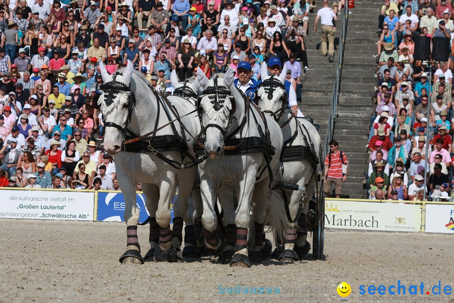 Hengstparade-Marbach-2011-011011-Bodensee-Community-SEECHAT_DE-IMG_1158.JPG