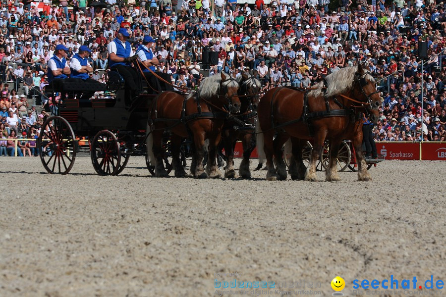 Hengstparade-Marbach-2011-011011-Bodensee-Community-SEECHAT_DE-IMG_1161.JPG