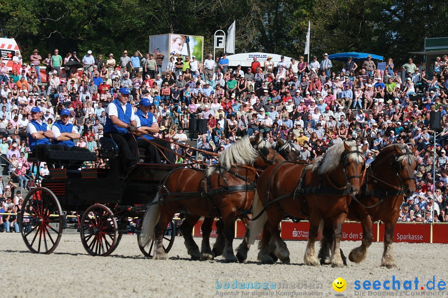 Hengstparade-Marbach-2011-011011-Bodensee-Community-SEECHAT_DE-IMG_1162.JPG