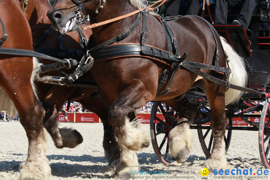 Hengstparade-Marbach-2011-011011-Bodensee-Community-SEECHAT_DE-IMG_1163.JPG