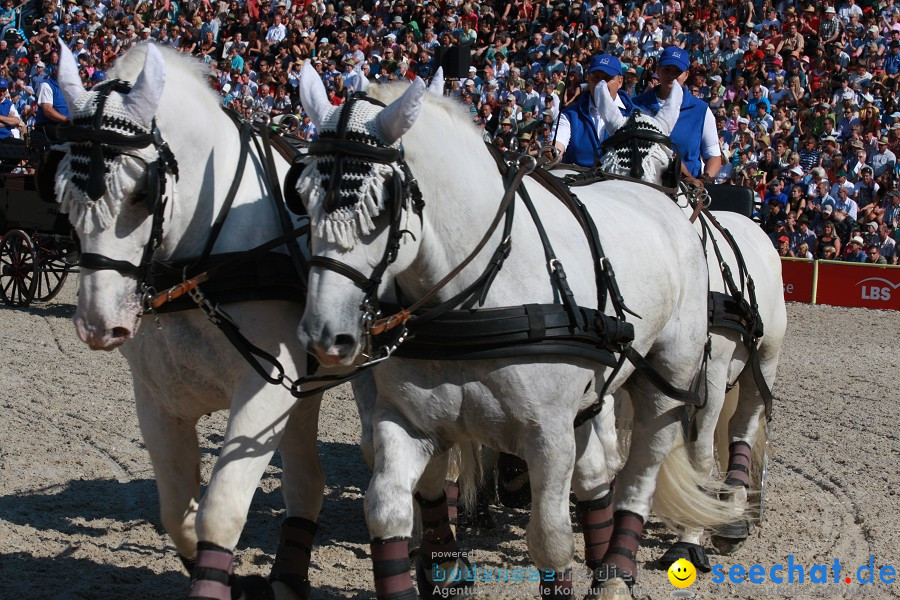 Hengstparade-Marbach-2011-011011-Bodensee-Community-SEECHAT_DE-IMG_1178.JPG