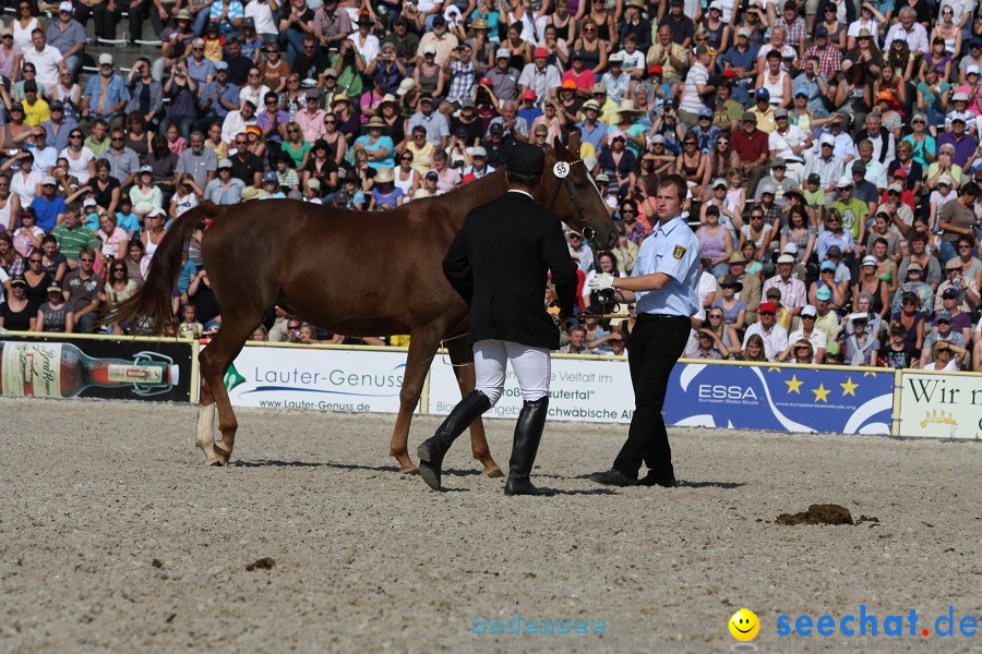 Hengstparade-Marbach-2011-011011-Bodensee-Community-SEECHAT_DE-IMG_1215.JPG