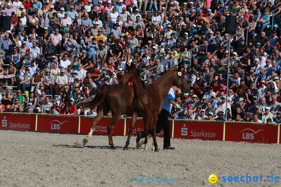 Hengstparade-Marbach-2011-011011-Bodensee-Community-SEECHAT_DE-IMG_1218.JPG