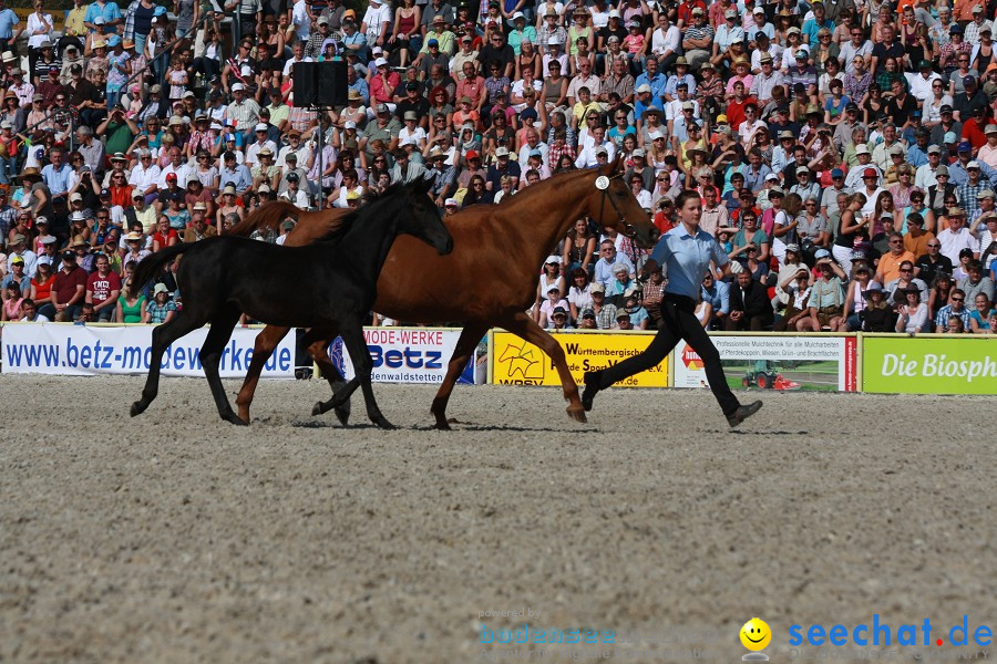 Hengstparade-Marbach-2011-011011-Bodensee-Community-SEECHAT_DE-IMG_1219.JPG