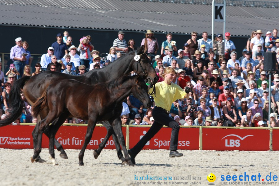 Hengstparade-Marbach-2011-011011-Bodensee-Community-SEECHAT_DE-IMG_1222.JPG