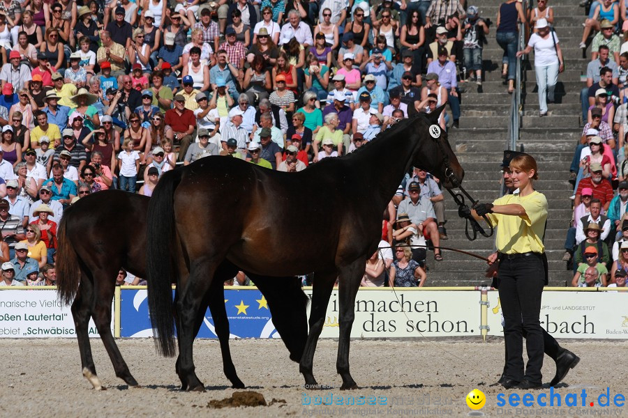 Hengstparade-Marbach-2011-011011-Bodensee-Community-SEECHAT_DE-IMG_1224.JPG