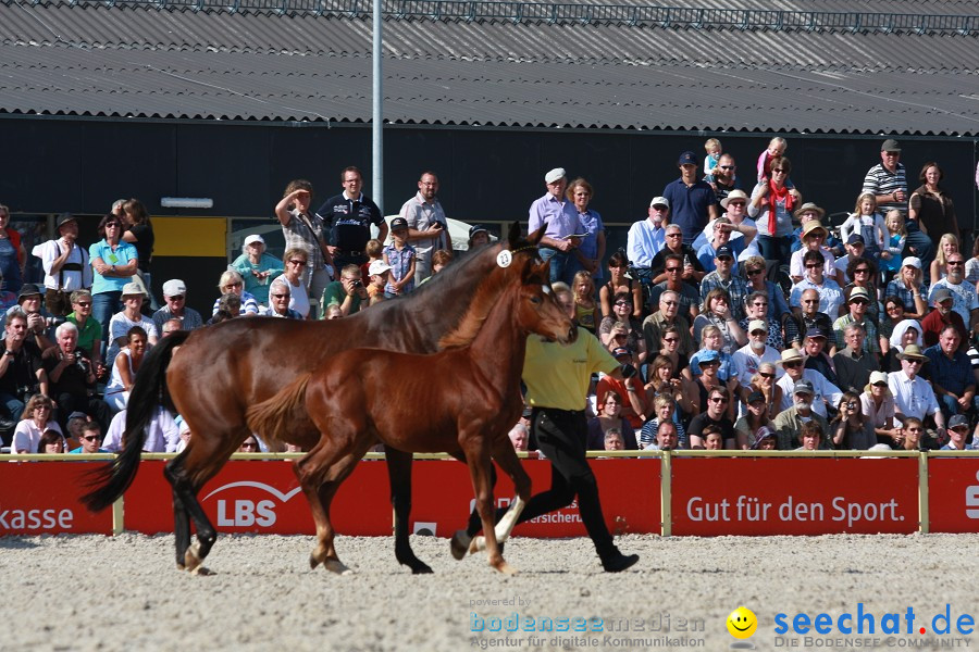 Hengstparade-Marbach-2011-011011-Bodensee-Community-SEECHAT_DE-IMG_1225.JPG