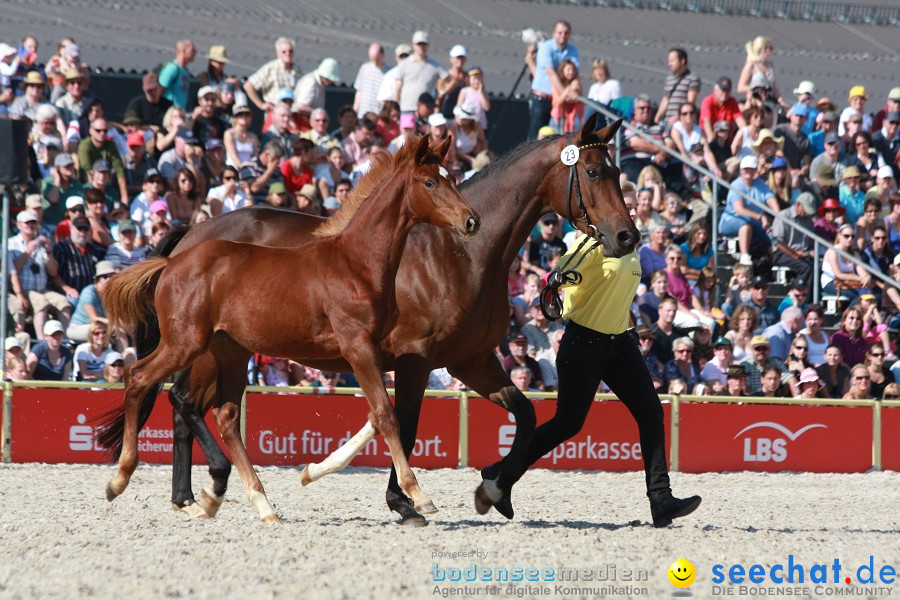 Hengstparade-Marbach-2011-011011-Bodensee-Community-SEECHAT_DE-IMG_1226.JPG