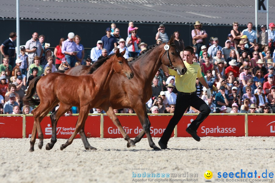 Hengstparade-Marbach-2011-011011-Bodensee-Community-SEECHAT_DE-IMG_1229.JPG