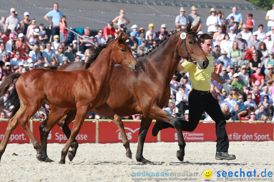 Hengstparade-Marbach-2011-011011-Bodensee-Community-SEECHAT_DE-IMG_1230.JPG