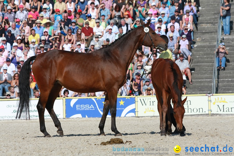 Hengstparade-Marbach-2011-011011-Bodensee-Community-SEECHAT_DE-IMG_1231.JPG