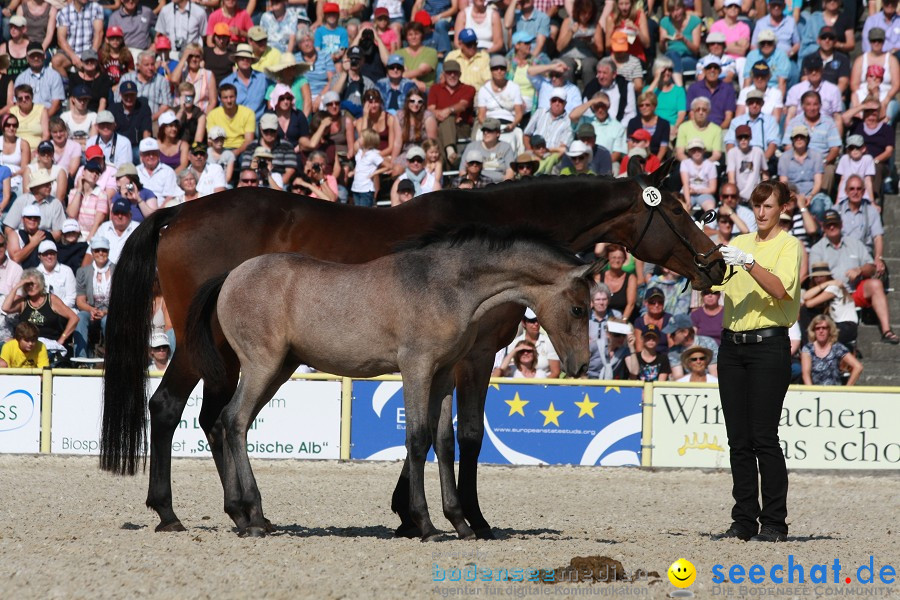 Hengstparade-Marbach-2011-011011-Bodensee-Community-SEECHAT_DE-IMG_1234.JPG