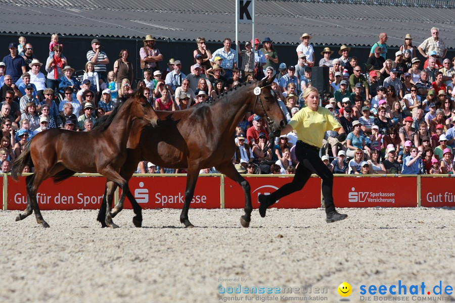 Hengstparade-Marbach-2011-011011-Bodensee-Community-SEECHAT_DE-IMG_1238.JPG