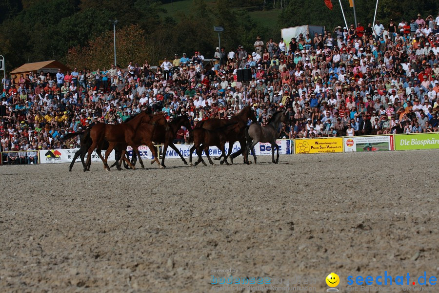 Hengstparade-Marbach-2011-011011-Bodensee-Community-SEECHAT_DE-IMG_1250.JPG