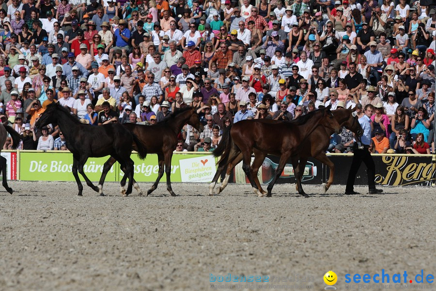 Hengstparade-Marbach-2011-011011-Bodensee-Community-SEECHAT_DE-IMG_1254.JPG