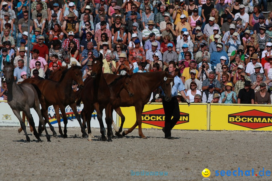 Hengstparade-Marbach-2011-011011-Bodensee-Community-SEECHAT_DE-IMG_1255.JPG