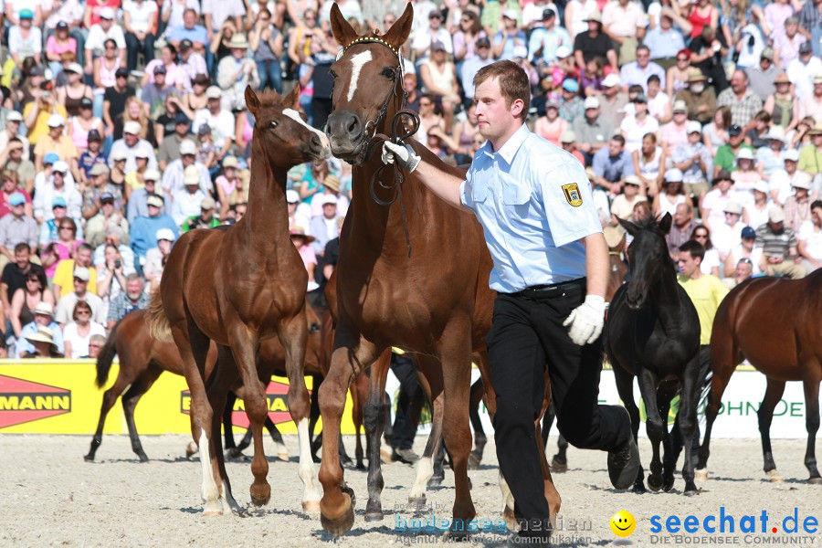 Hengstparade-Marbach-2011-011011-Bodensee-Community-SEECHAT_DE-IMG_1258.JPG