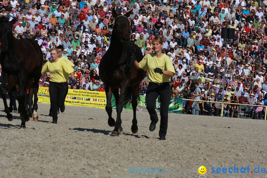 Hengstparade-Marbach-2011-011011-Bodensee-Community-SEECHAT_DE-IMG_1259.JPG