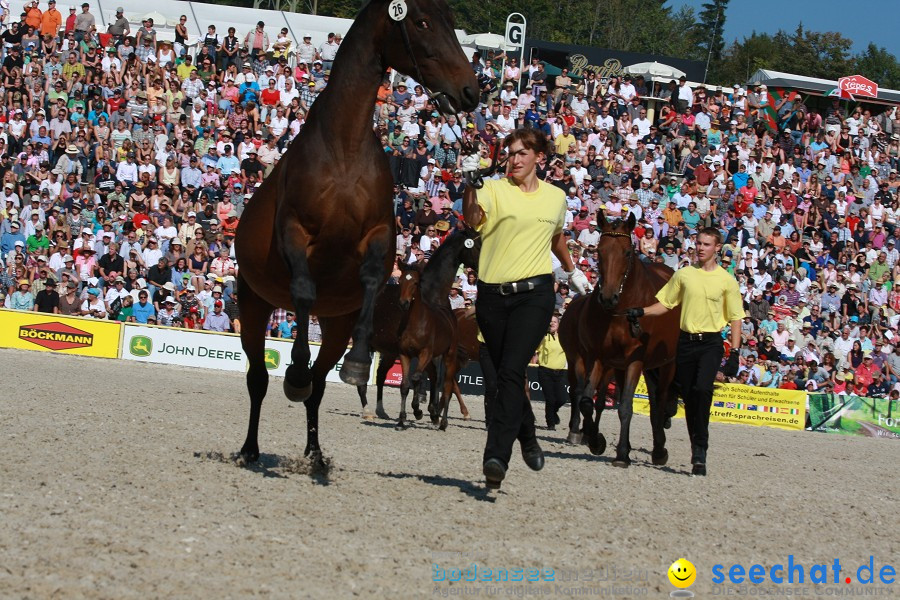 Hengstparade-Marbach-2011-011011-Bodensee-Community-SEECHAT_DE-IMG_1260.JPG