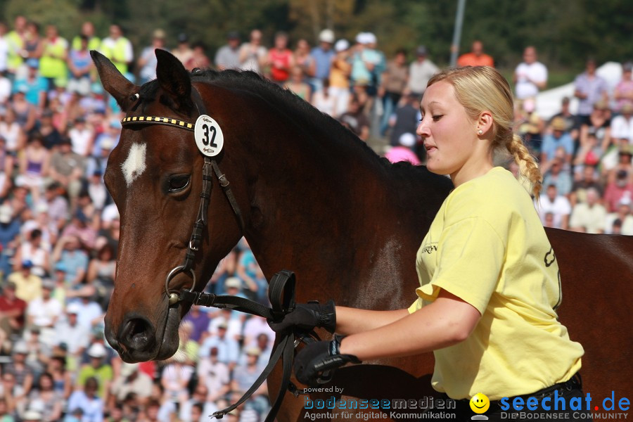 Hengstparade-Marbach-2011-011011-Bodensee-Community-SEECHAT_DE-IMG_1265.JPG