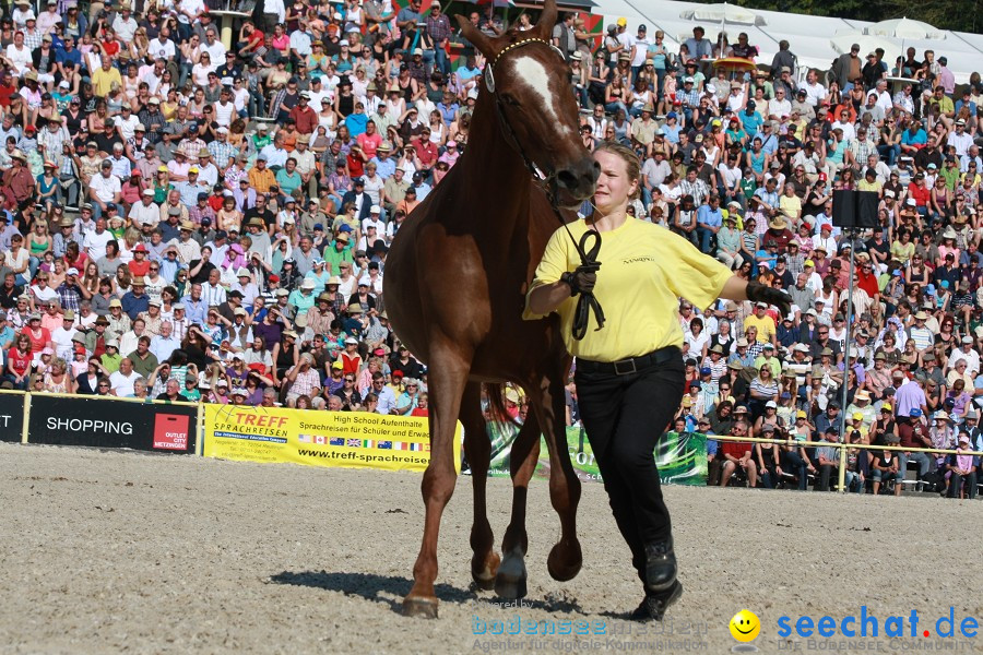 Hengstparade-Marbach-2011-011011-Bodensee-Community-SEECHAT_DE-IMG_1267.JPG