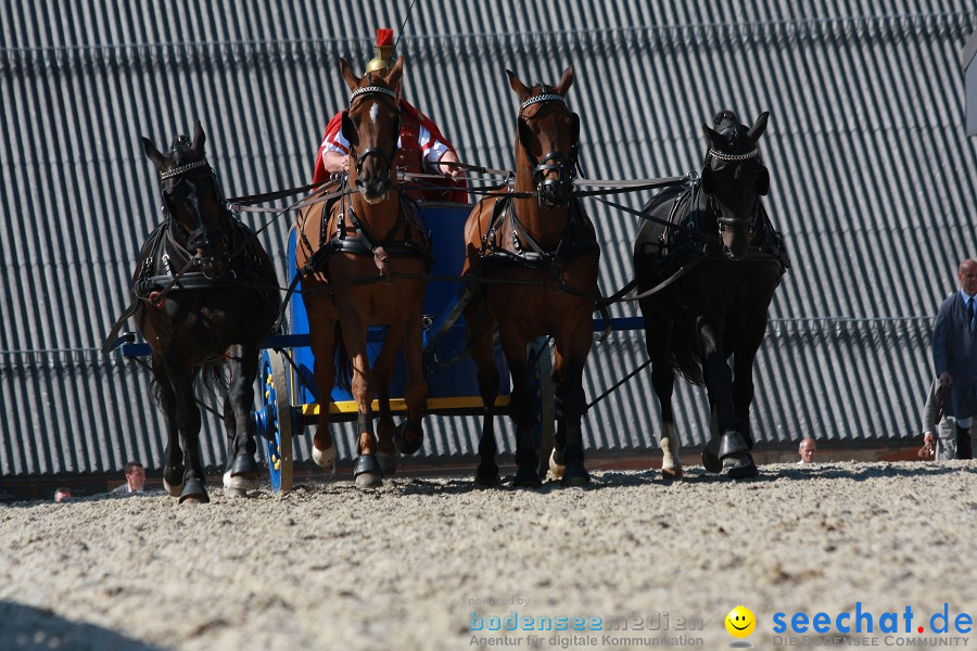 Hengstparade-Marbach-2011-011011-Bodensee-Community-SEECHAT_DE-IMG_1270.JPG