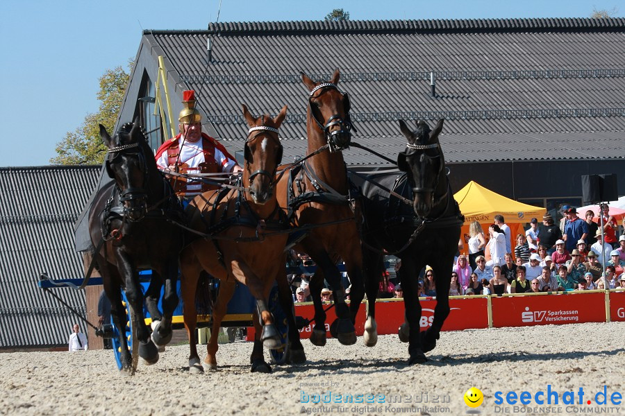 Hengstparade-Marbach-2011-011011-Bodensee-Community-SEECHAT_DE-IMG_1272.JPG