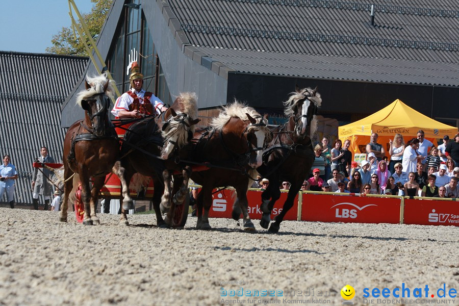 Hengstparade-Marbach-2011-011011-Bodensee-Community-SEECHAT_DE-IMG_1275.JPG