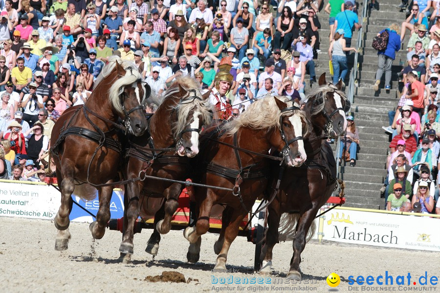 Hengstparade-Marbach-2011-011011-Bodensee-Community-SEECHAT_DE-IMG_1278.JPG