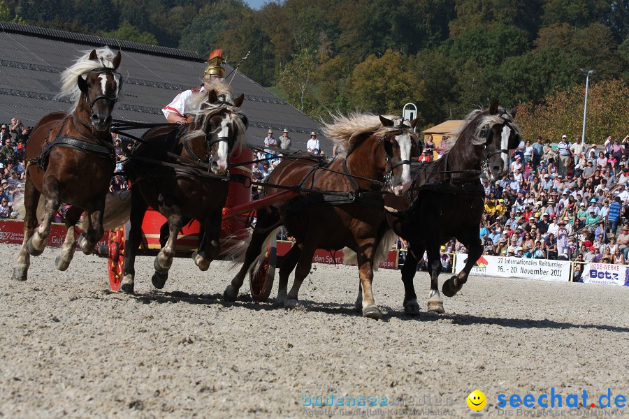 Hengstparade-Marbach-2011-011011-Bodensee-Community-SEECHAT_DE-IMG_1280.JPG