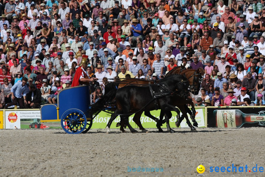 Hengstparade-Marbach-2011-011011-Bodensee-Community-SEECHAT_DE-IMG_1285.JPG