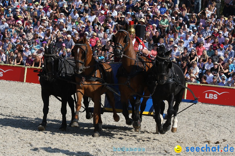 Hengstparade-Marbach-2011-011011-Bodensee-Community-SEECHAT_DE-IMG_1287.JPG