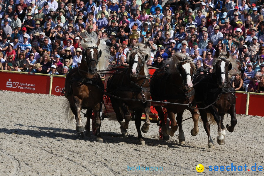 Hengstparade-Marbach-2011-011011-Bodensee-Community-SEECHAT_DE-IMG_1288.JPG